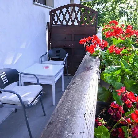 Sobe Grajska Apartment Bled Exterior photo